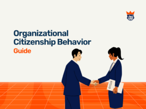 Types Of Organizational Behavior